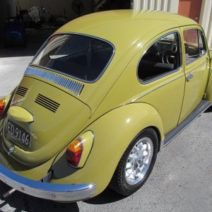 beetle12