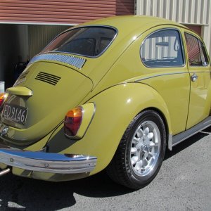 beetle13