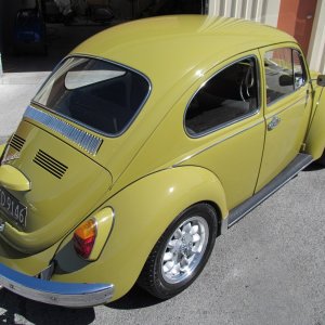 beetle14