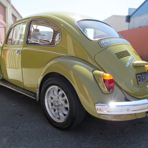 beetle16