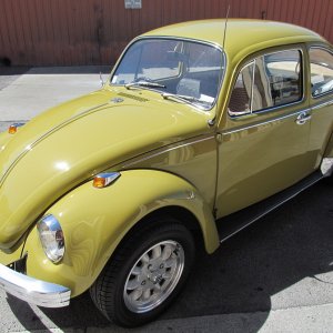 beetle17
