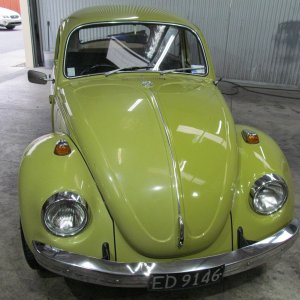 beetle2