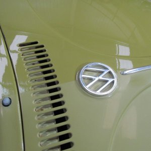 beetle5