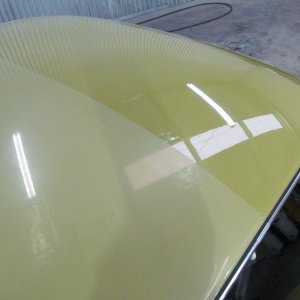 beetle6