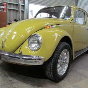 beetle7