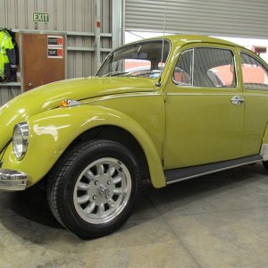 beetle8