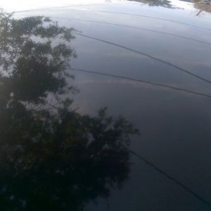 tn_roof2_before