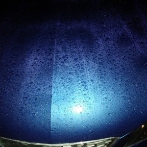 glaze, rain repellent, polymer, wax, sharkpolitur
