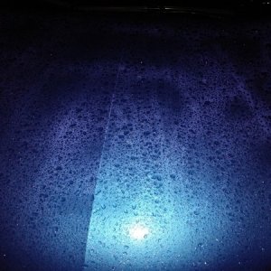 glaze, rain repellent, polymer, wax, sharkpolitur