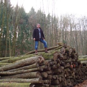 lumber