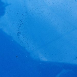 Egg5