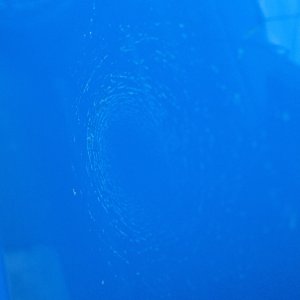 Egg6