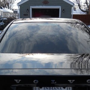 Trunk_and_Window