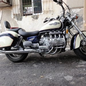 Honda Valkyrie 1998 Sharkpolitur