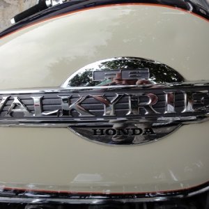 Honda Valkyrie 1998 Sharkpolitur