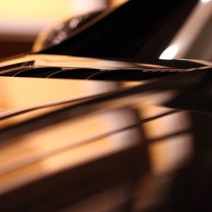 IMG_6382DPP