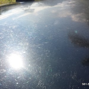 CarDetailingBoyntonBeach561detailing_10
