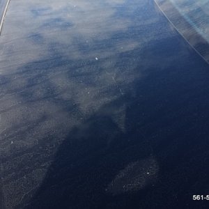 CarDetailingBoyntonBeach561detailing_2
