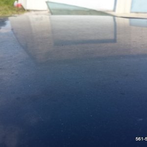 CarDetailingBoyntonBeach561detailing_6