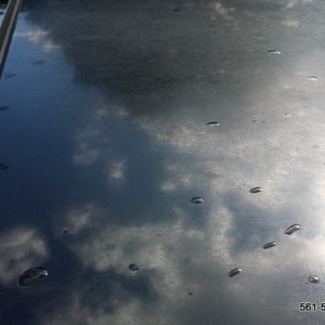 CarDetailingBoyntonBeach561detailing_7