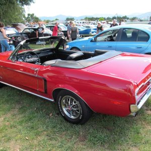 Hospice_Car_Show_007a