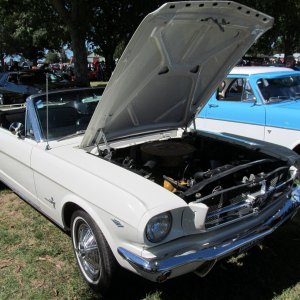 Hospice_Car_Show_054a1