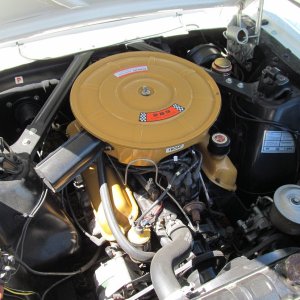 Hospice_Car_Show_055a1