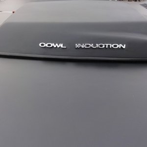 600623