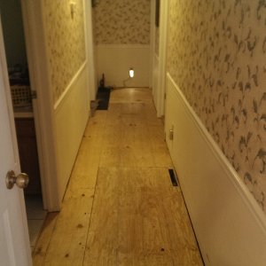 Hall completed, ready to start with hardwood