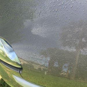 800_IMG_0945