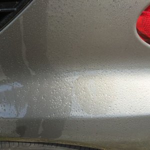 800_IMG_0948