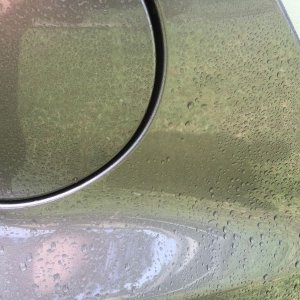 800_IMG_0950