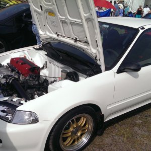 IMAG2520