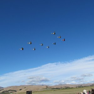Easter_0622