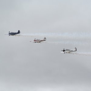 Omaka_2_0411
