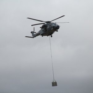 Omaka_2_0501