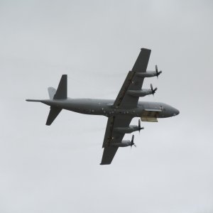 Omaka_2_0601