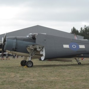 Omaka_2_0811