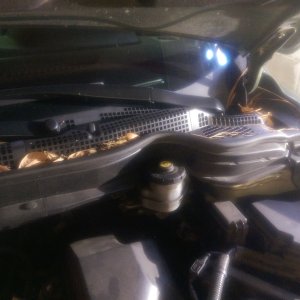 tn_leaves_under_hood