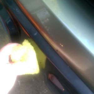 tn_bug_sponnge_action