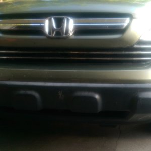 tn_bumper_bugs_before