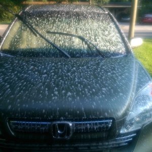 tn_foam_in_process