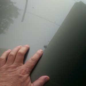 tn_sap_spot_1