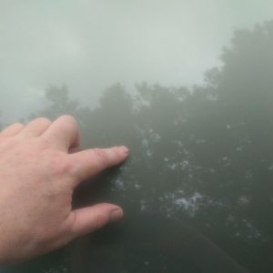 tn_hood_reflection_after