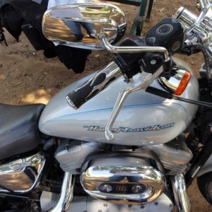Harley Davidson Sportster 883 Custom