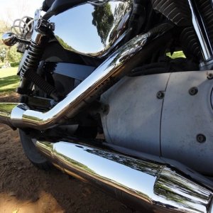 Harley Davidson Sportster 883 Custom