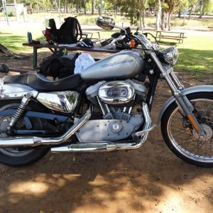 Harley Davidson Sportster 883 Custom