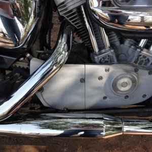 Harley Davidson Sportster 883 Custom