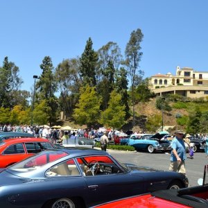 DSC_26591