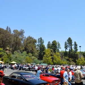 DSC_2809